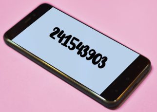 241543903