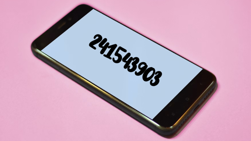 241543903
