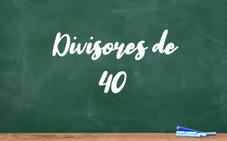 Divisores de 40