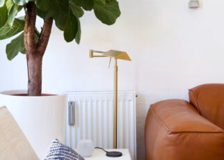Plantas que purifican el aire en casa