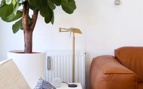 Plantas que purifican el aire en casa