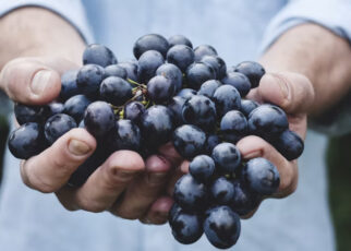 Uvas