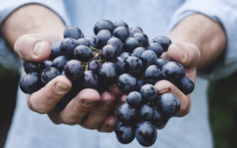 Uvas