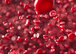 Glóbulos rojos