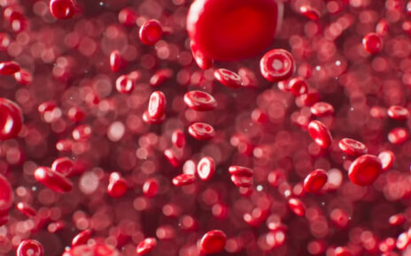 Glóbulos rojos