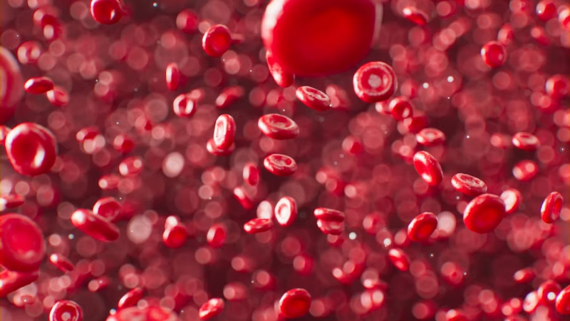 Glóbulos rojos